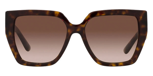 Havana / Gradient Brown / 55-17-145