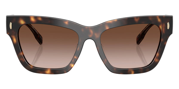 Dark Tortoise/Tortoise Crystal / Brown Gradient / 54-17-140