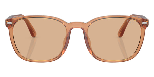 Shiny Transparent Brown / Light Brown / 55-19-145