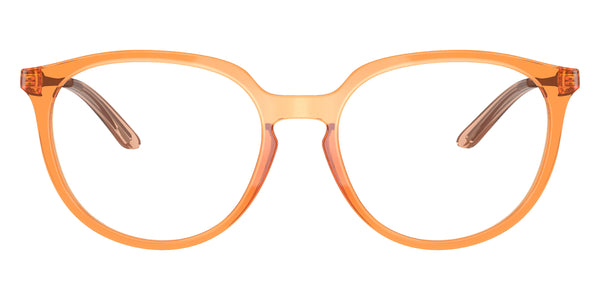 Polished Transparent Ginger/Satin Metal Bronze / 53-17-141