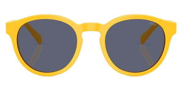 Shiny Yellow / Gray Blue / 51-21-145