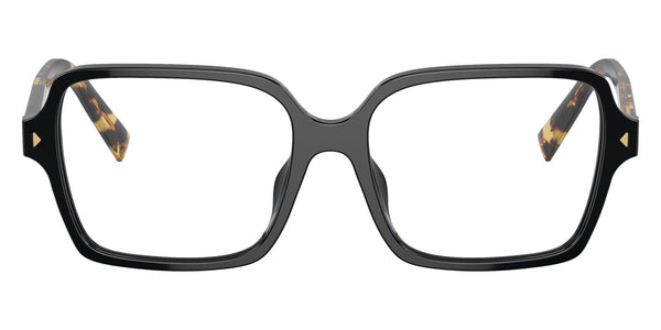 Black/Havana Clear / 53-17-145