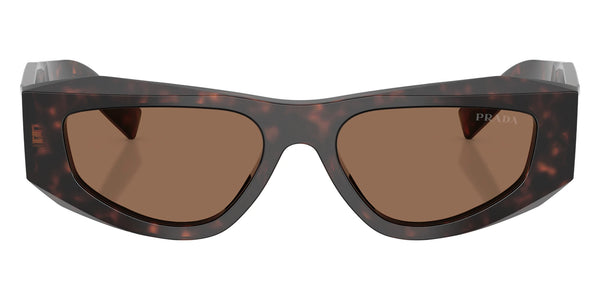 Root Tortoise / Dark Brown / 52-17-145