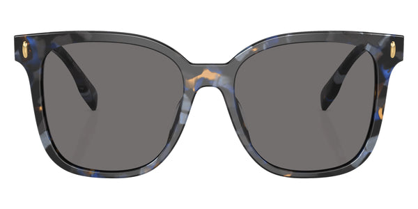 Blue Tortoise / Dark Gray Polarized / 53-17-145