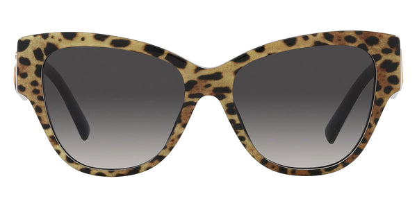 Leo Brown on Black / Gray Gradient / 54-16-145