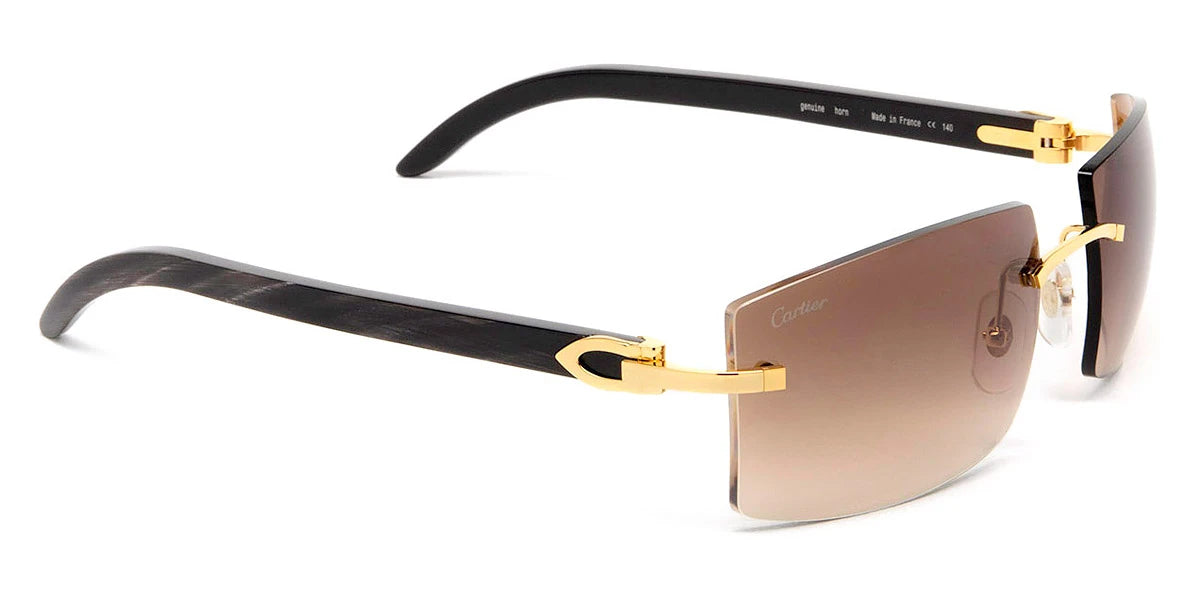 Cartier - CT0021RS C Décor