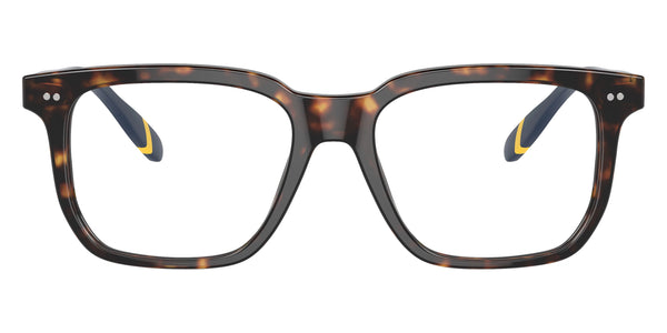 Shiny Dark Havana/Blue / 53-18-145