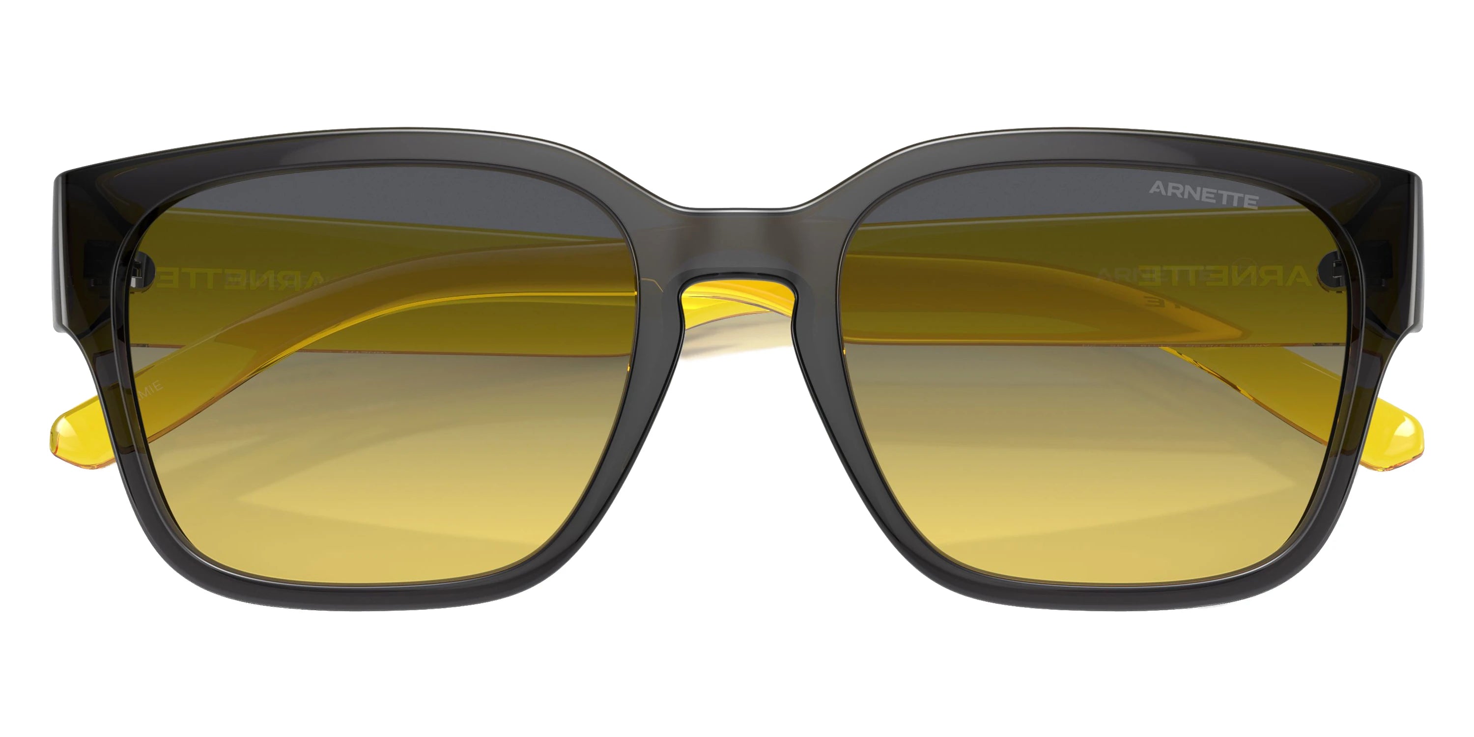 ARNETTE - AN4325 Hamie