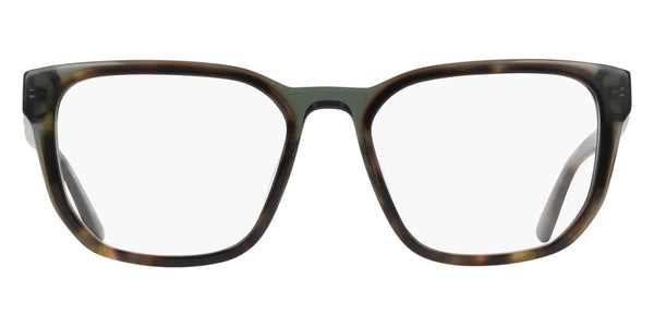 Olive Tortoise / 53-19-140