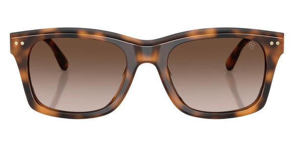 Havana / Gradient Brown / 55-20-145