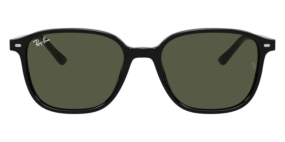 Ray-Ban - Leonard RB2193