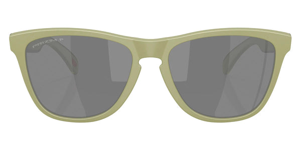 Matte Fern / Prizm Black Polarized Mirrored / 55-17-139