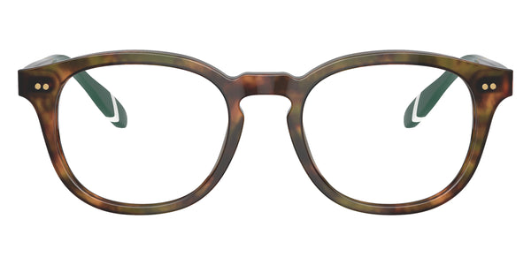 Shiny Brown Tortoise/Green / 50-20-145