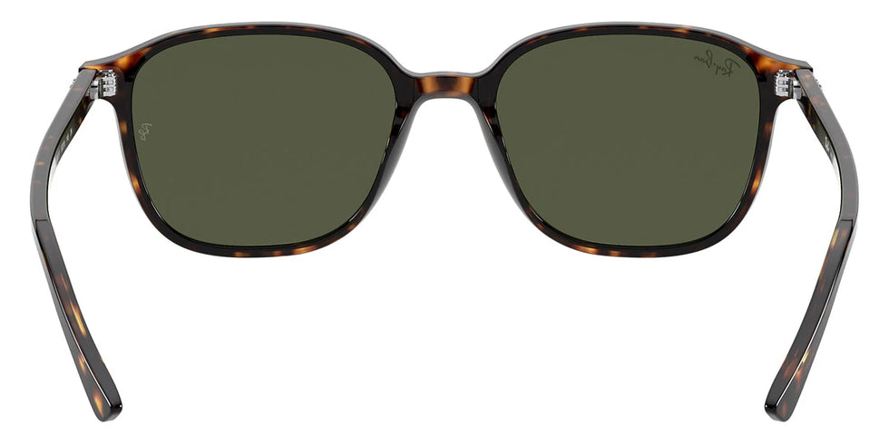 Ray-Ban - Leonard RB2193