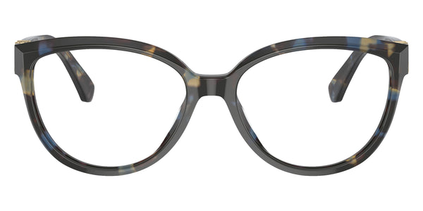 Blue Tortoise / 53-16-135