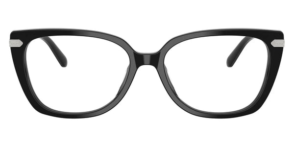 Black/Shiny Silver / 53-16-145