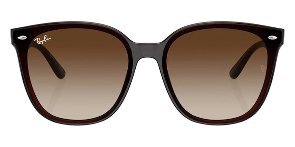 Transparent Brown / Brown / 66-15-145