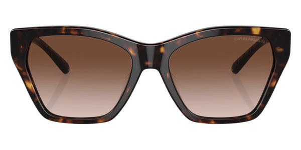 Shiny Havana and Shiny Black / Gradient Brown / 55-17-140