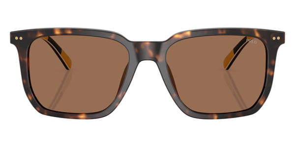 Shiny Dark Havana/Stripes / Dark Brown / 55-18-145