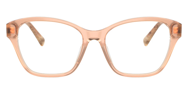 Transparent Pink/Pink Oyster / 53-17-145