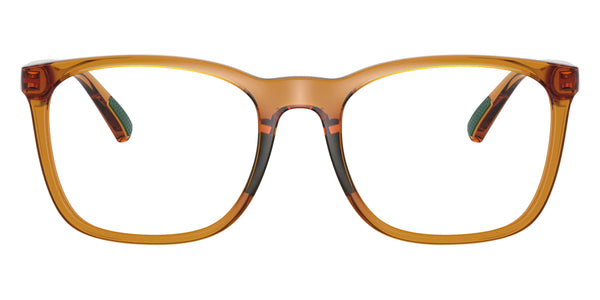 Shiny Transparent Honey Brown / 54-19-145