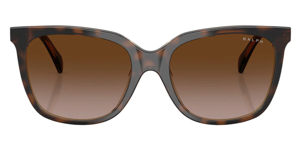 Dark Havana on Transparent / Gradient Brown / 55-17-145