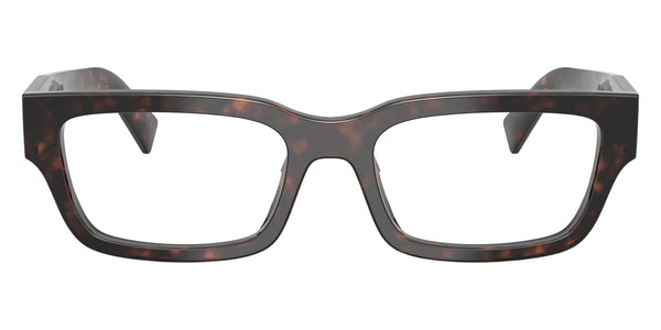 Root Tortoise / 54-19-145