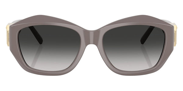 Chocolate Truffle / Gray Gradient / 54-17-135