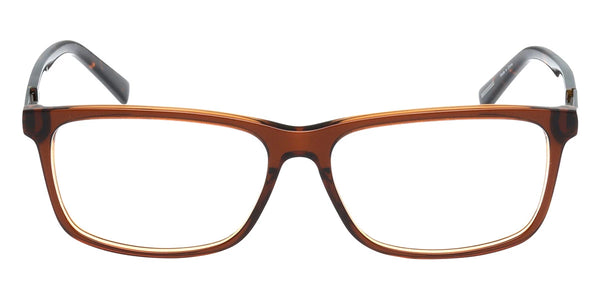 Shiny Dark Brown / 58-15-145