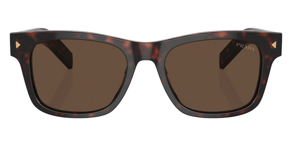 Radica Tortoise / Dark Brown / 51-19-145