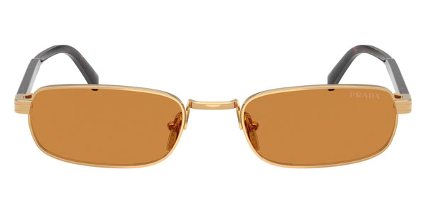 Gold/Root Tortoise / Dark Honey / 54-20-145