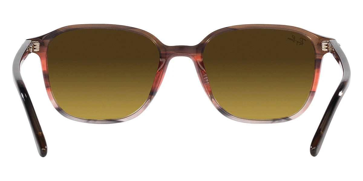 Ray-Ban - Leonard RB2193