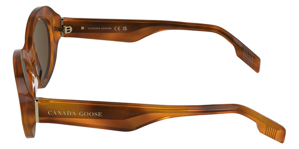 Canada Goose GC26600SE 242 51 - Orange Havana #id:cagc26600se242_s:104110