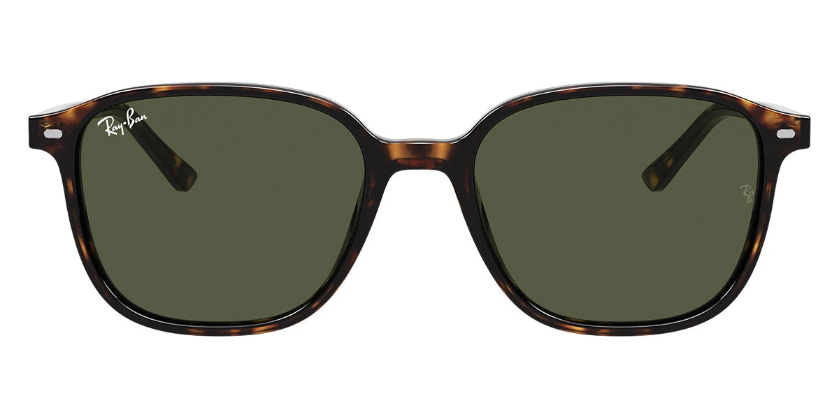 Ray-Ban - Leonard RB2193