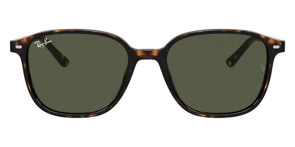 Ray-Ban - Leonard RB2193