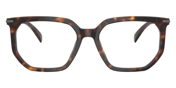 Dark Tortoise / 55-18-145