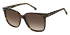Carrera 3002/S 0086HA 55 - Havana #id:carrera3002s0086ha_s:100105