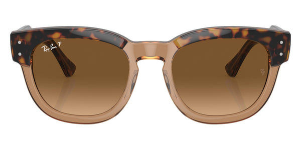 Havana on Transparent Brown / Brown Polarized / 53-21-145