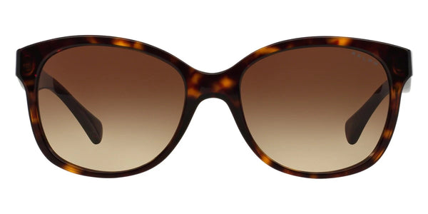 Shiny Dark Havana / Gradient Brown / 55-18-135