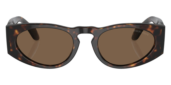 Havana / Dark Brown / 51-20-145