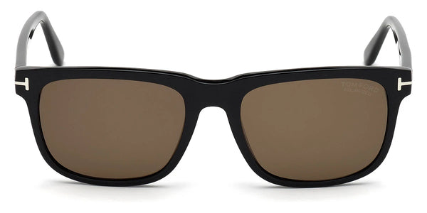 Shiny Black / Brown Polarized / 56-19-145