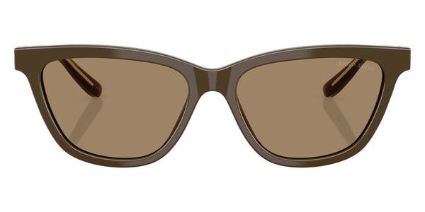 Brown on Crystal / Brown / 55-16-140