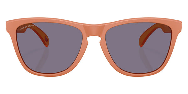 Matte Ginger / Prizm Gray / 54-17-138