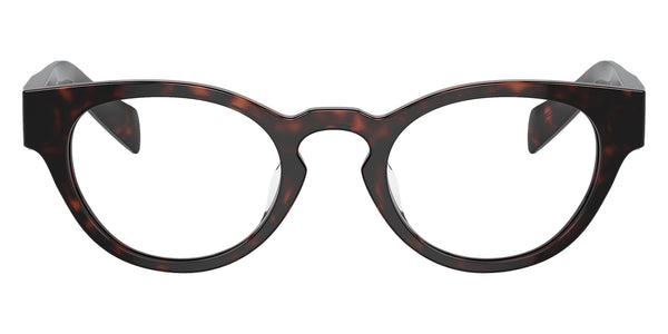 Briar Tortoise / 49-22-145