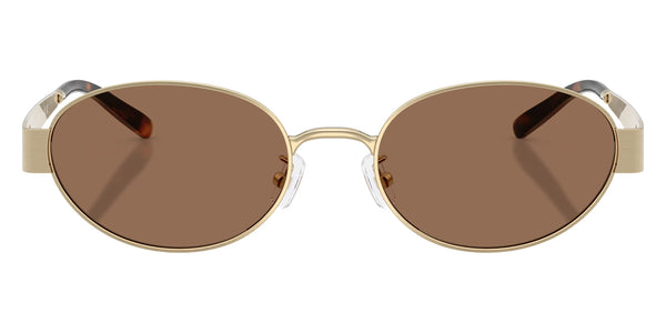 Shiny Light Gold / Dark Brown / 54-19-140