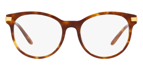 Shiny Light Tortoise / 51-18-145