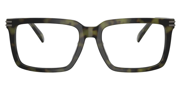 Olive Tortoise / 55-18-145