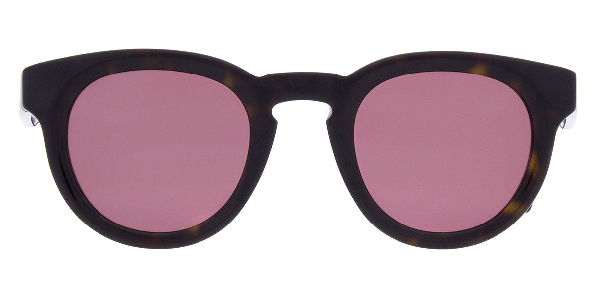 Andy Wolf - Chestnut Sun