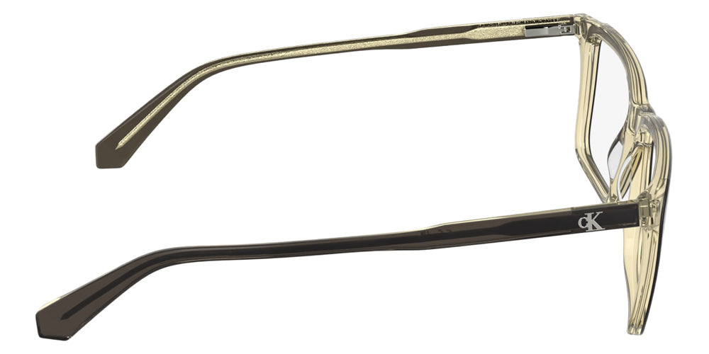 Calvin Klein CKJ26636 210 56 - Transparent Brown #id:cjckj26636210_s:102130