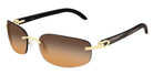 Cartier CT0020RS 001 60 - Gold/Black / Brown Multi Treatment #id:ct0020rs001_s:100100